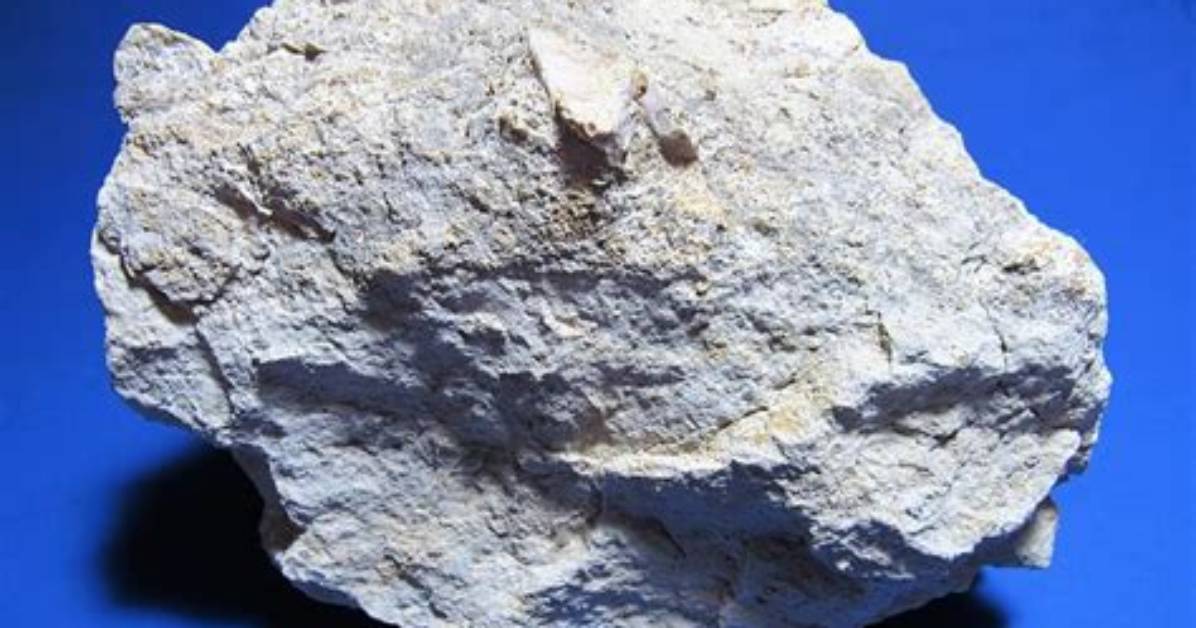 What Is Argillaceous Limestone?