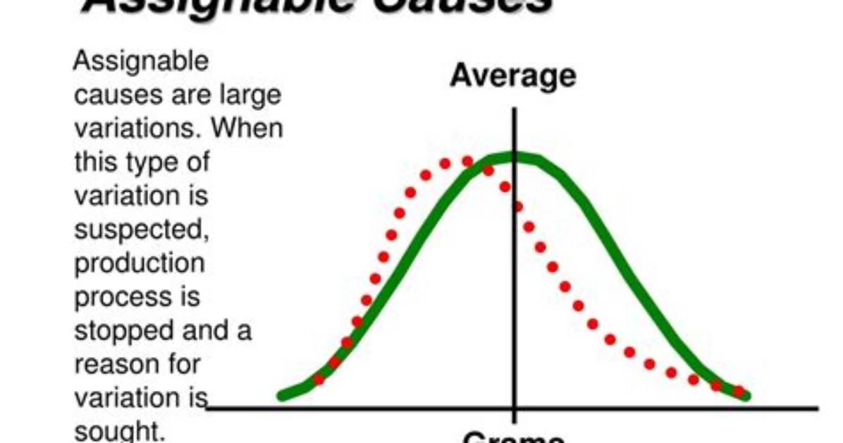 What Is Assignable Variation
