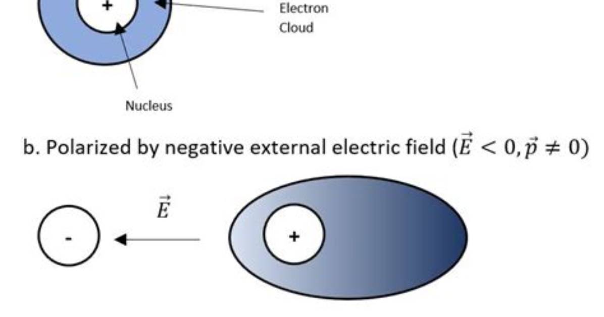 What Is Atom Polarization?