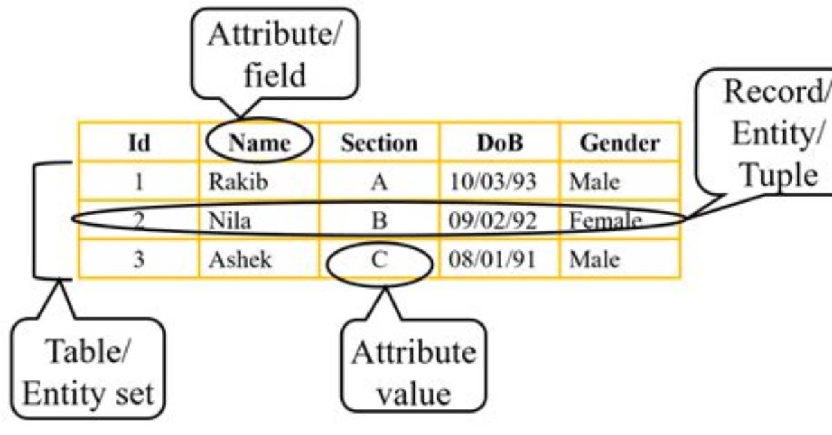 What Is Attribute in Database