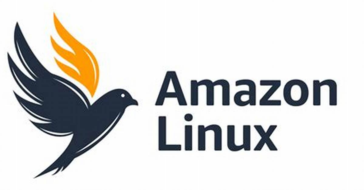 What Is Aws Linux 2?