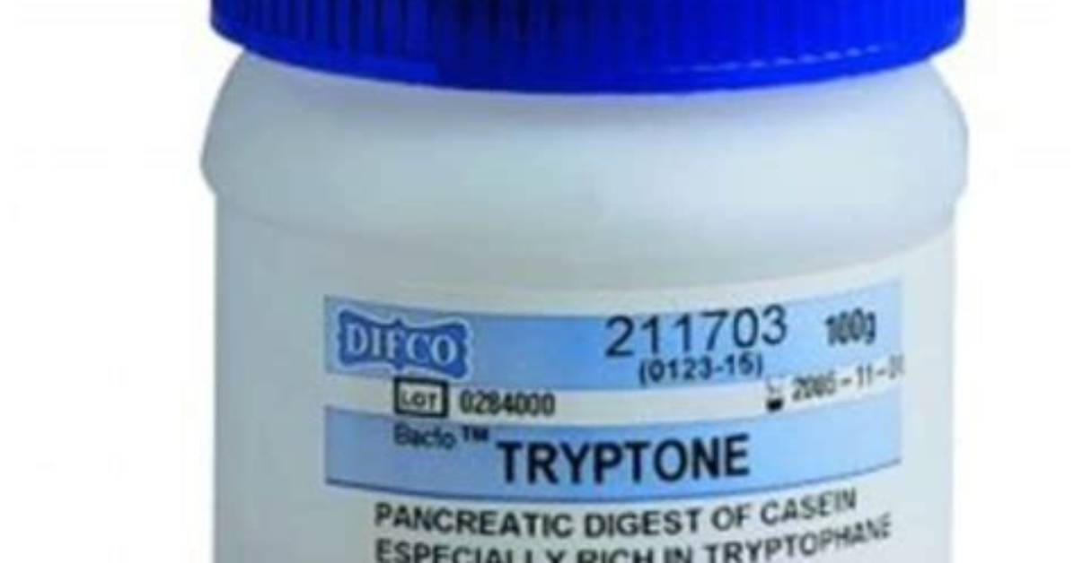 What Is Bacto Tryptone?