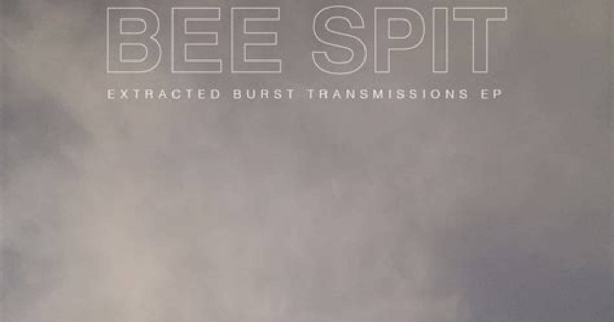 What Is Bee Spit Called?