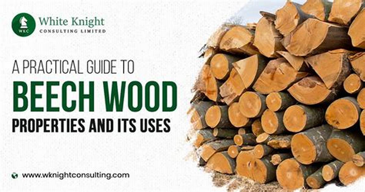 What Is Beech Good For