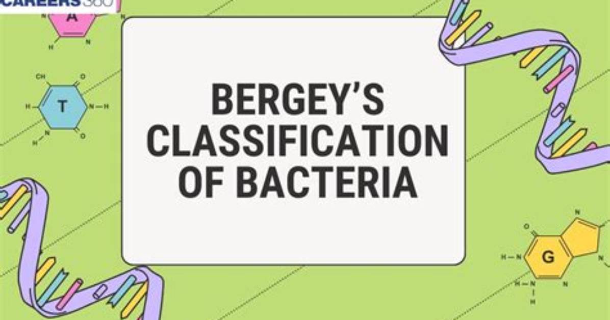 What Is Bergey's Classification? | Contextresponse. Com
