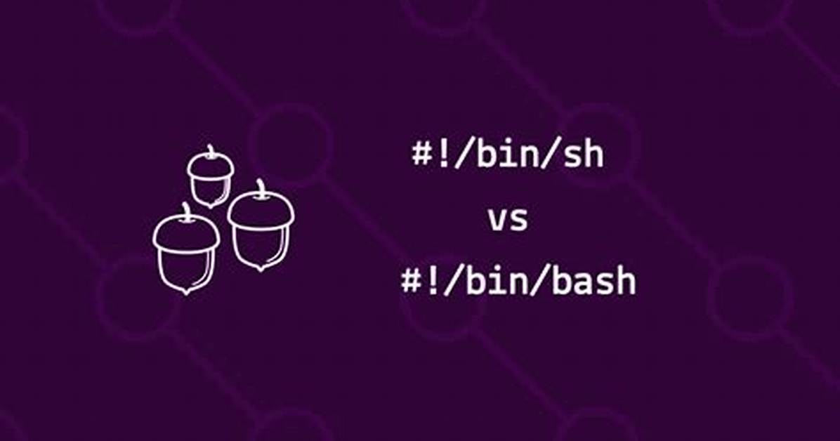 What Is /Bin/Sh -C?