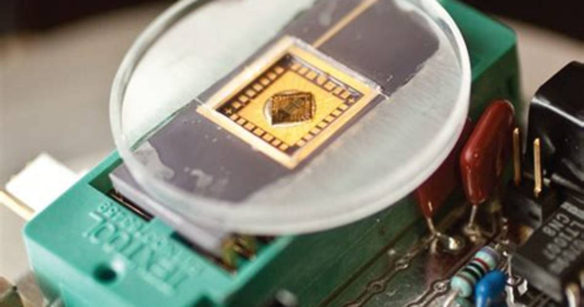 What Is Bio Electrical Engineering?