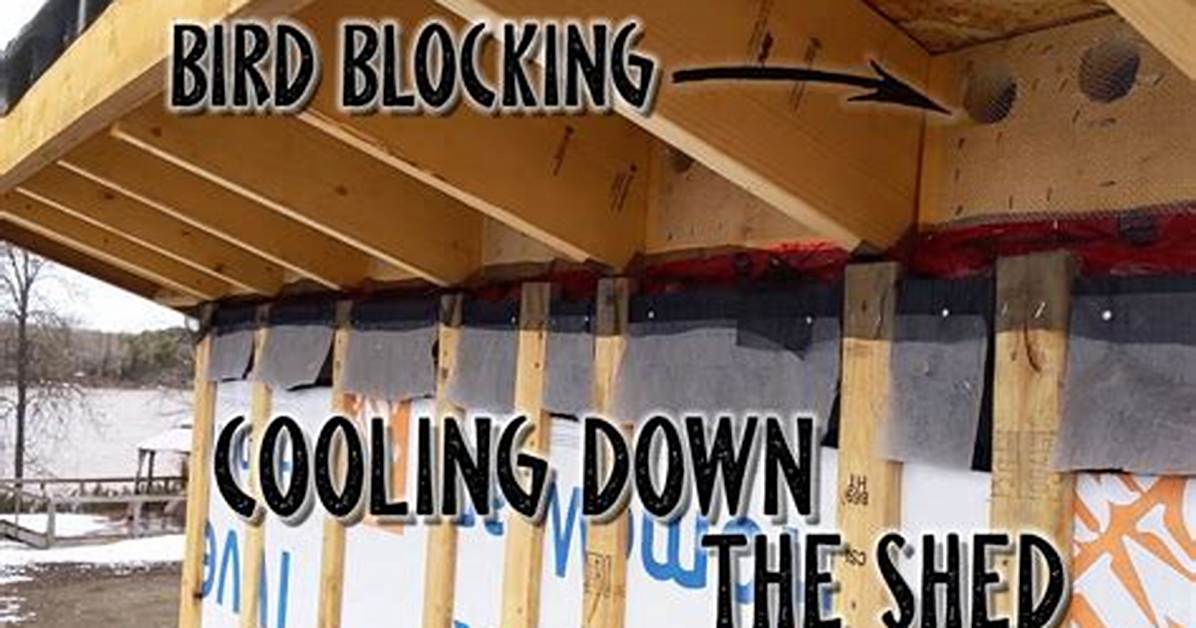 What Is Bird Blocking