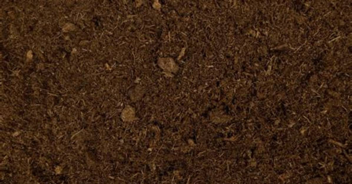 What Is Black Peat