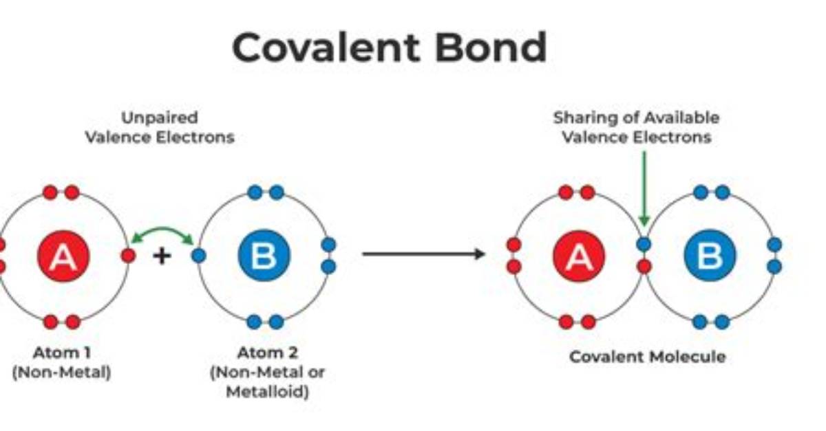 What Is Bond Explain
