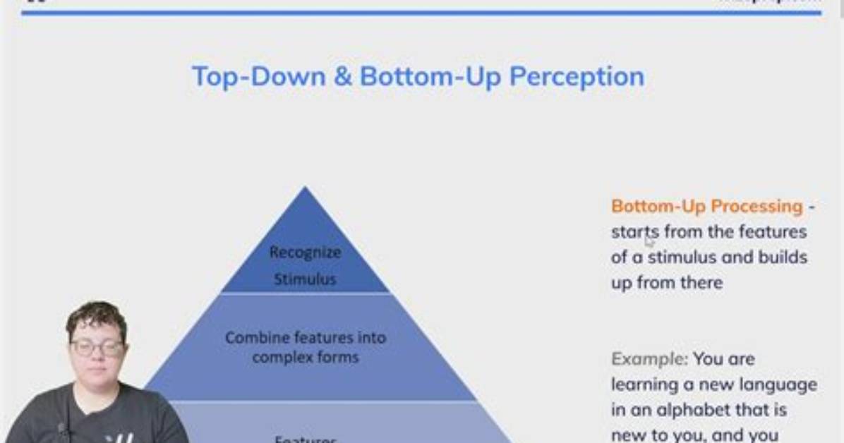 What Is Bottom Attention