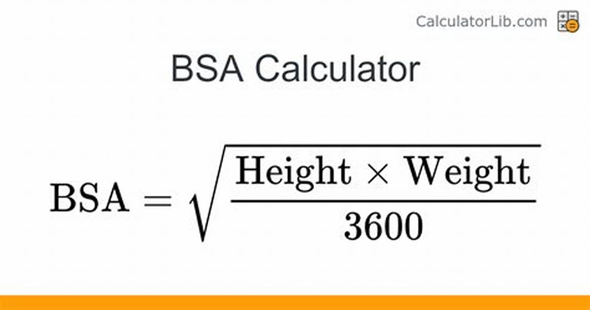 What Is Bsa Calculation
