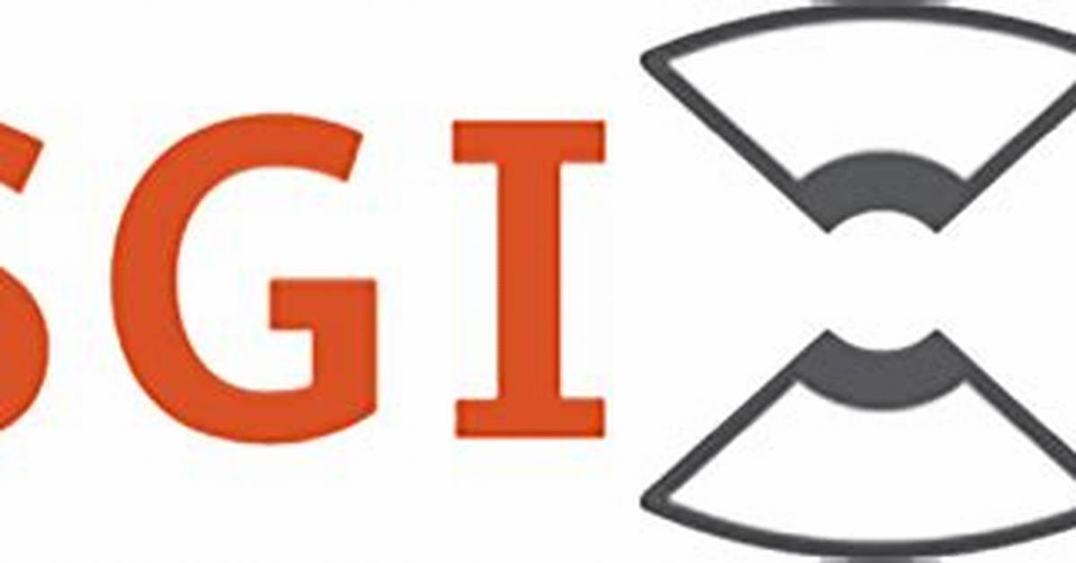 What Is Bsgi