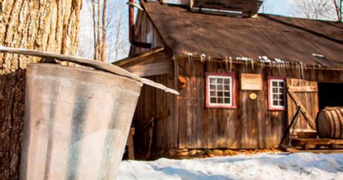 What Is Cabane a Sucre?