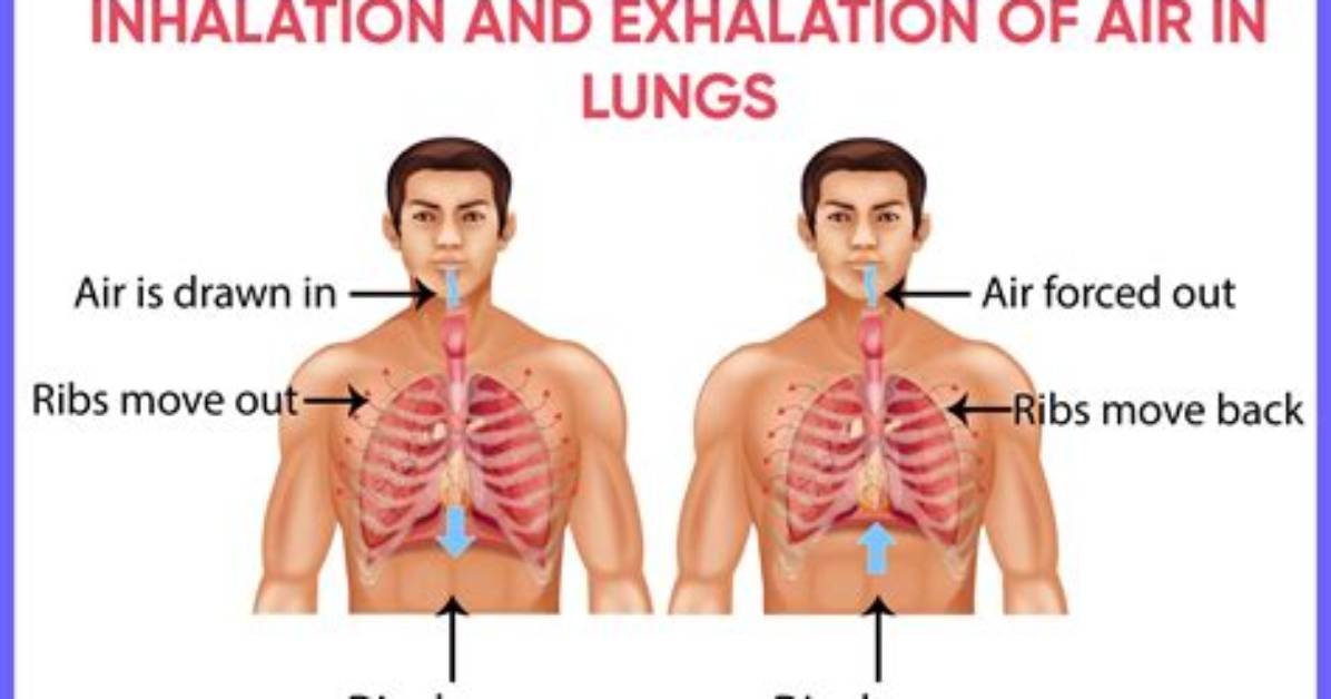 What Is Called Inhalation