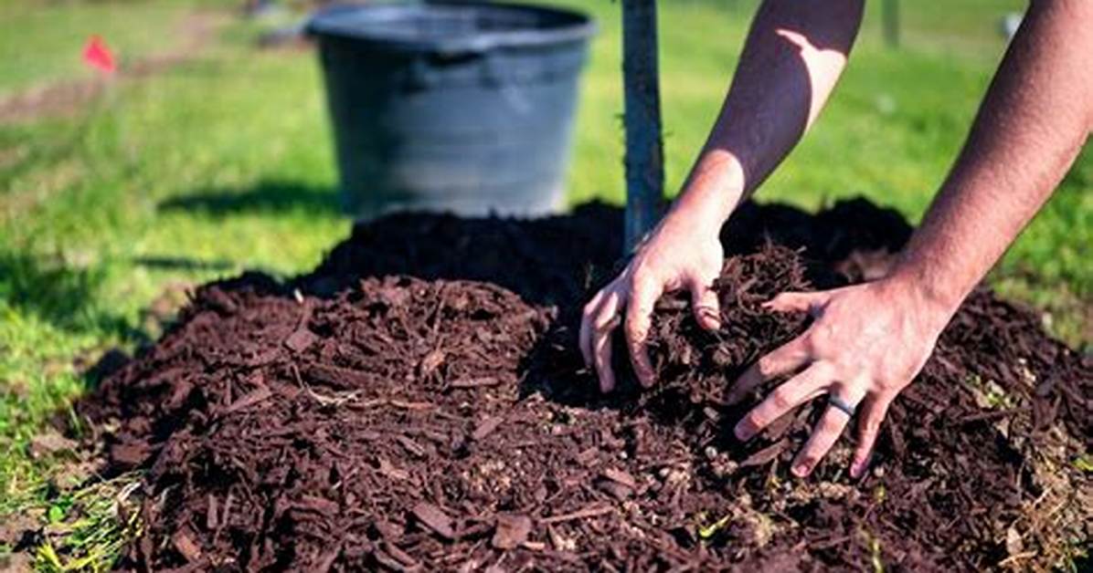 What Is Called Mulching