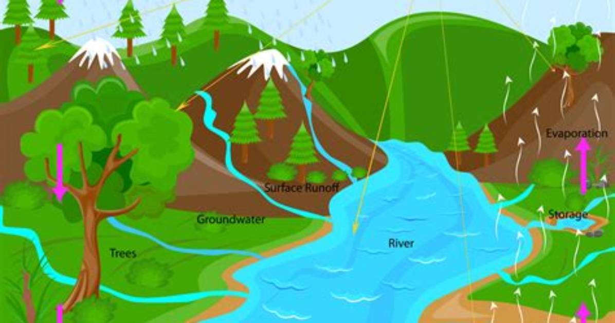 What Is Called Water Cycle
