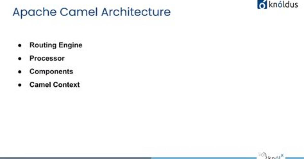 What Is Camel Processor