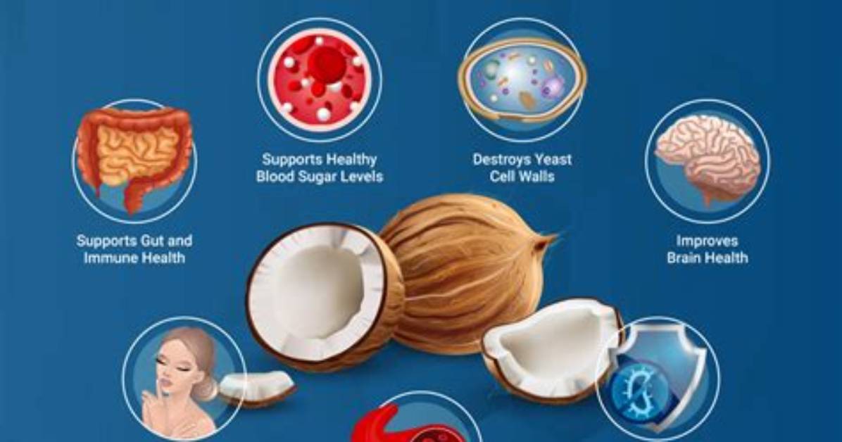 What Is Caprylic Acid and What Does It Do?