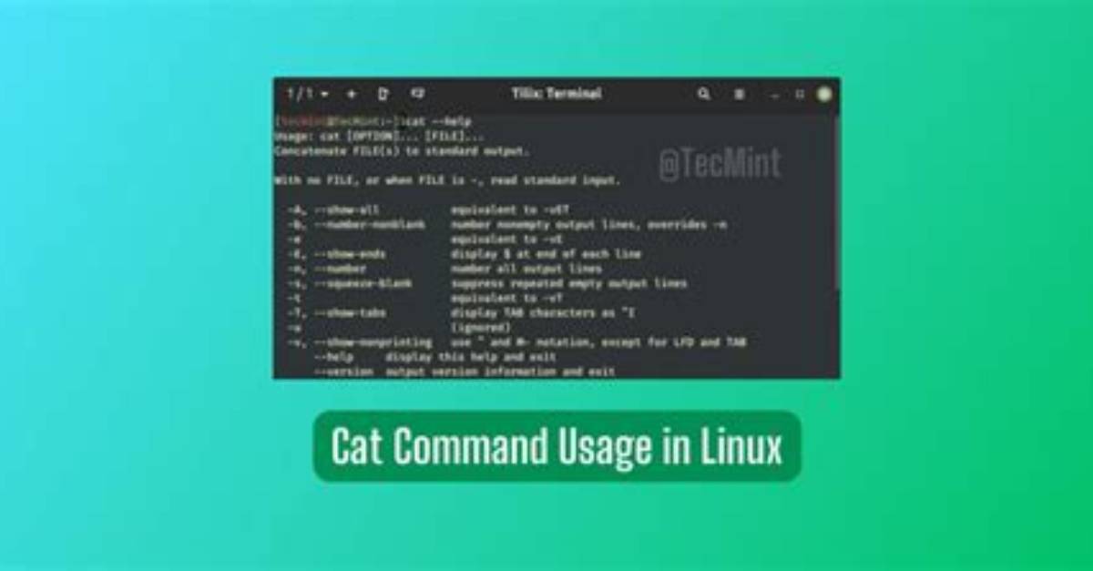 What Is Cat Command in Linux?