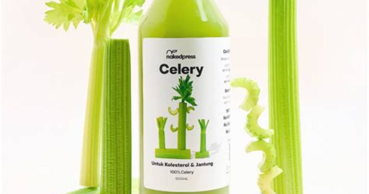 What Is Celery Web