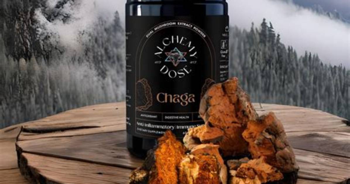 What Is Chaga Extract