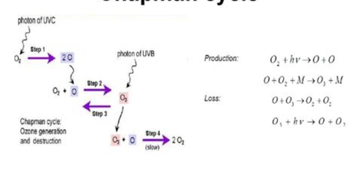 What Is Chapman Cycle?