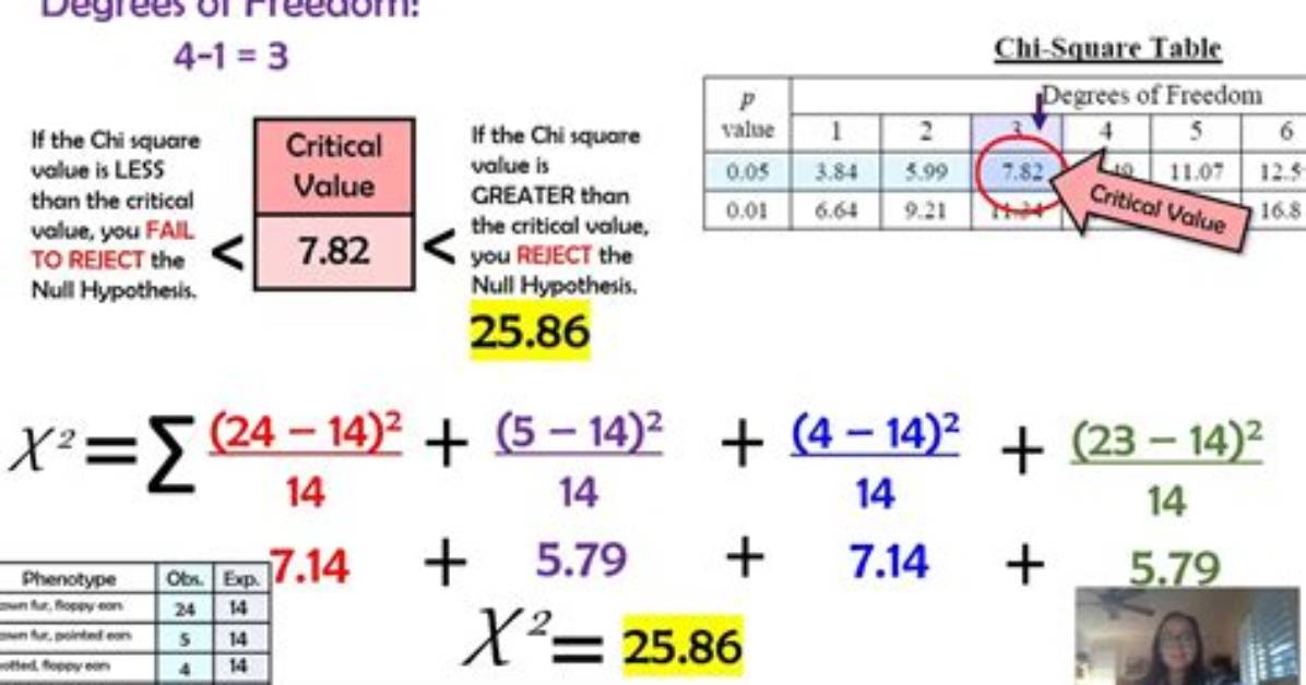 What Is Chi Square Test in Genetics?