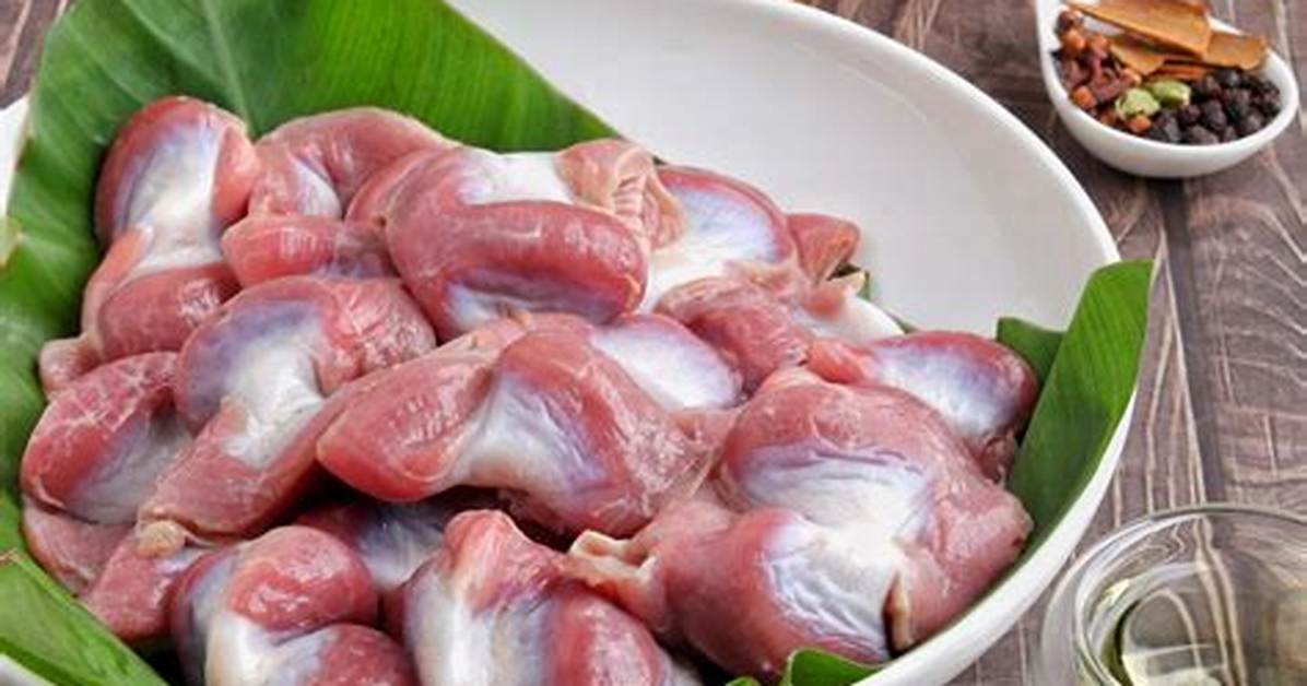 What Is Chicken Gizzards? | Contextresponse. Com