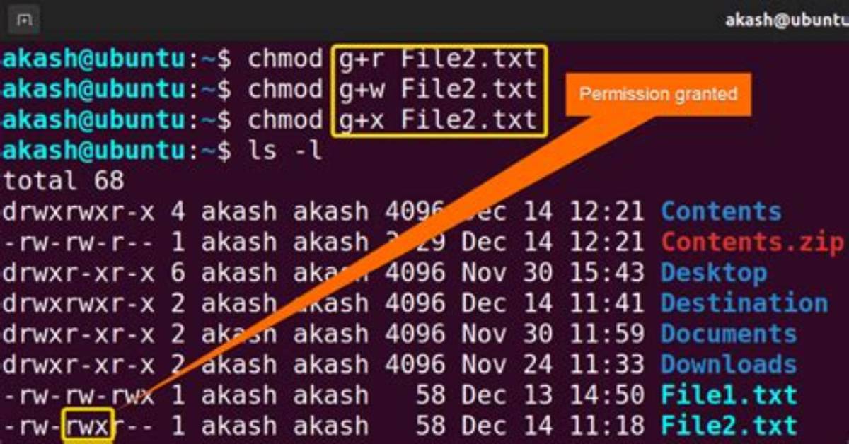 What Is Chmod 755 Command in Linux?