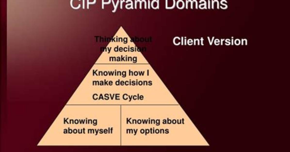What Is Cip Theory
