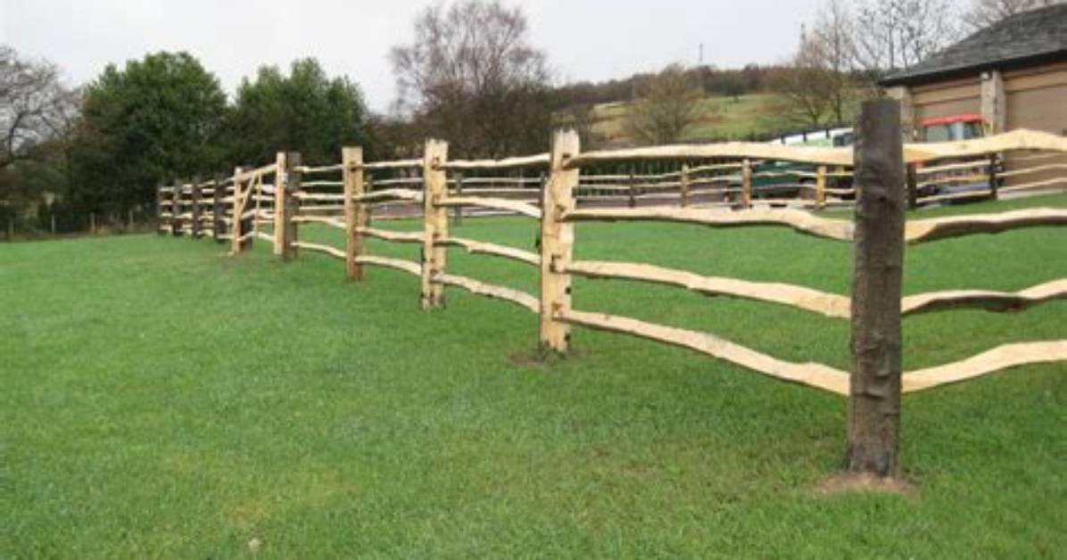 What Is Cleft Fencing