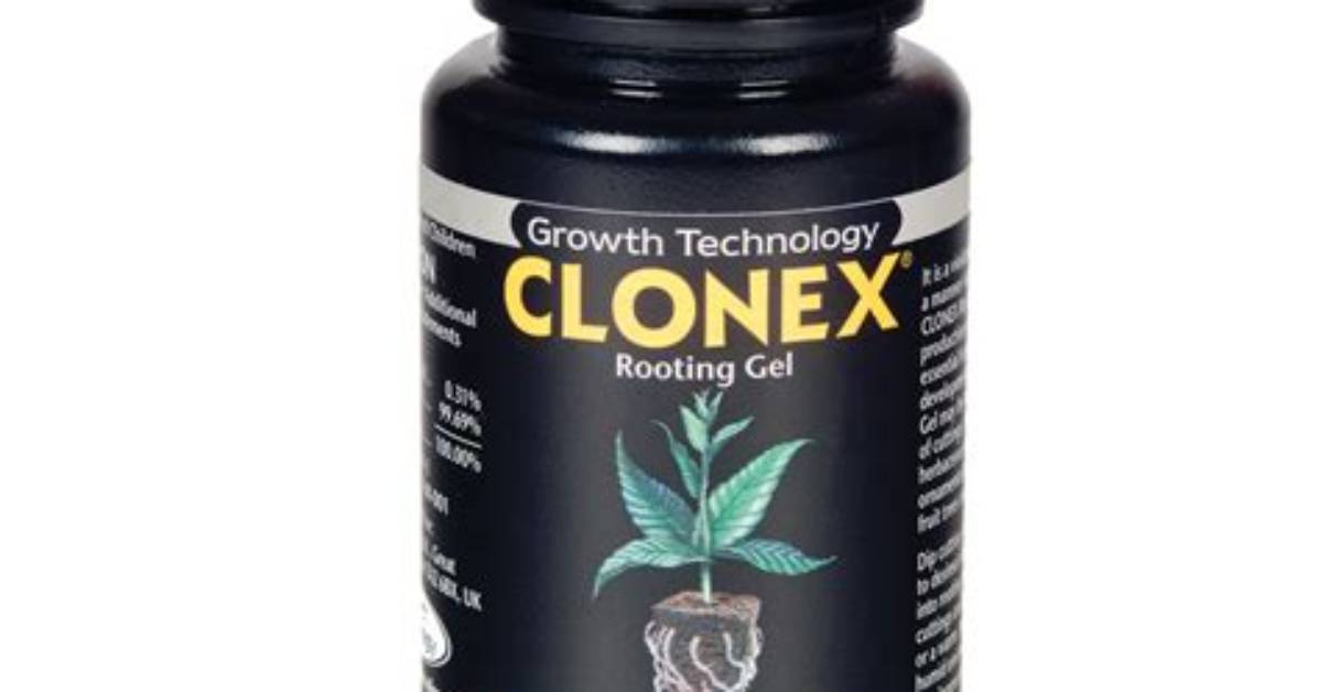 What Is Clonex