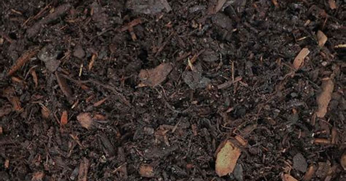 What Is Composted Pine Bark