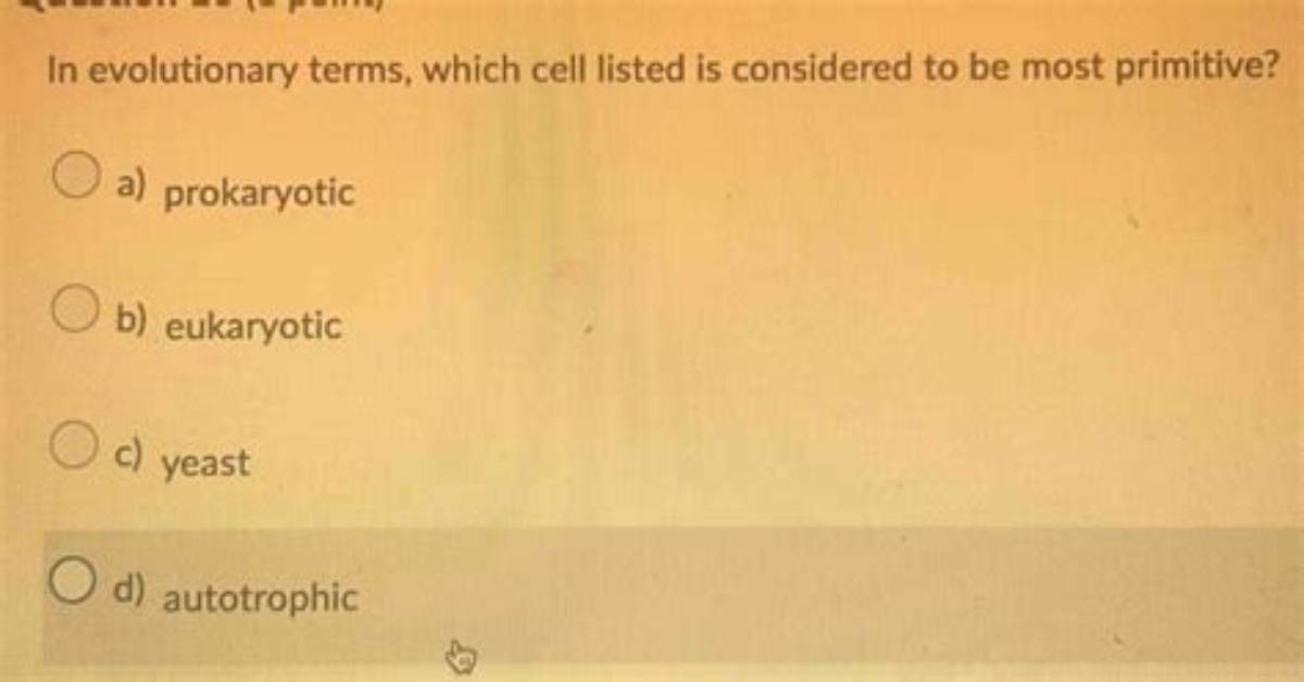 What Is Considered Primitive