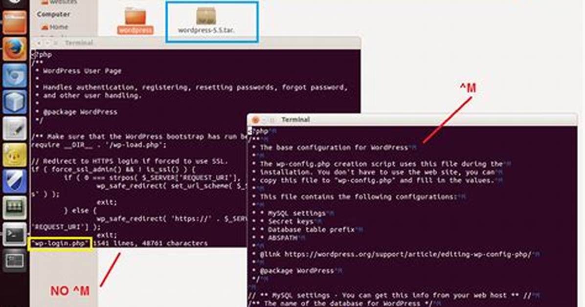 What Is Control M Character in Linux?