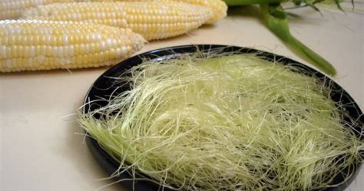 What Is Corn Silk?