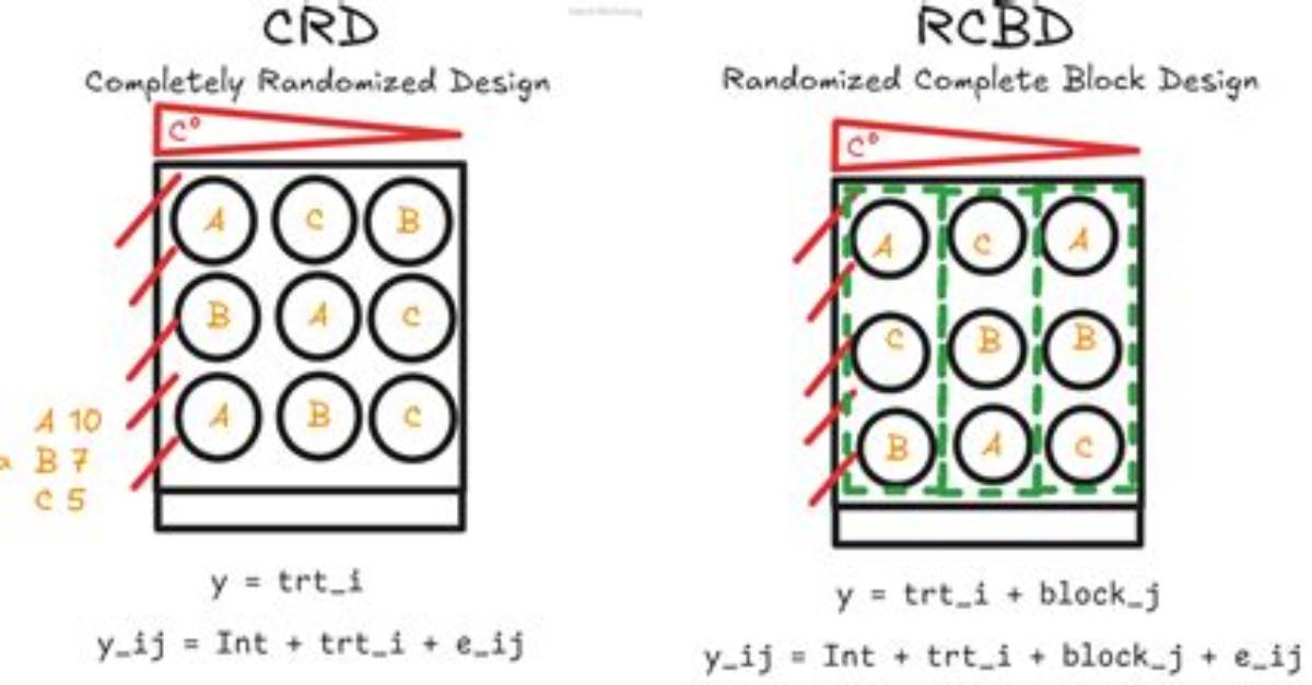 What Is Crd and Rcbd