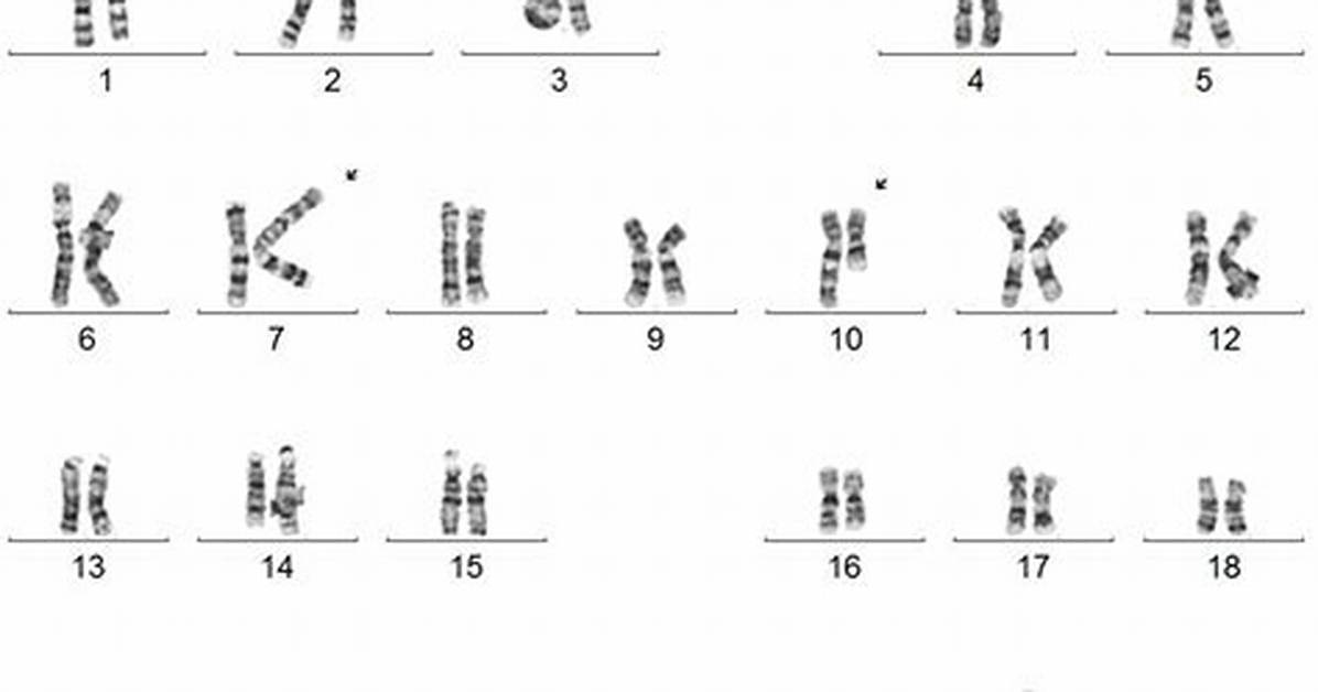 What Is Cytogenetics Study?