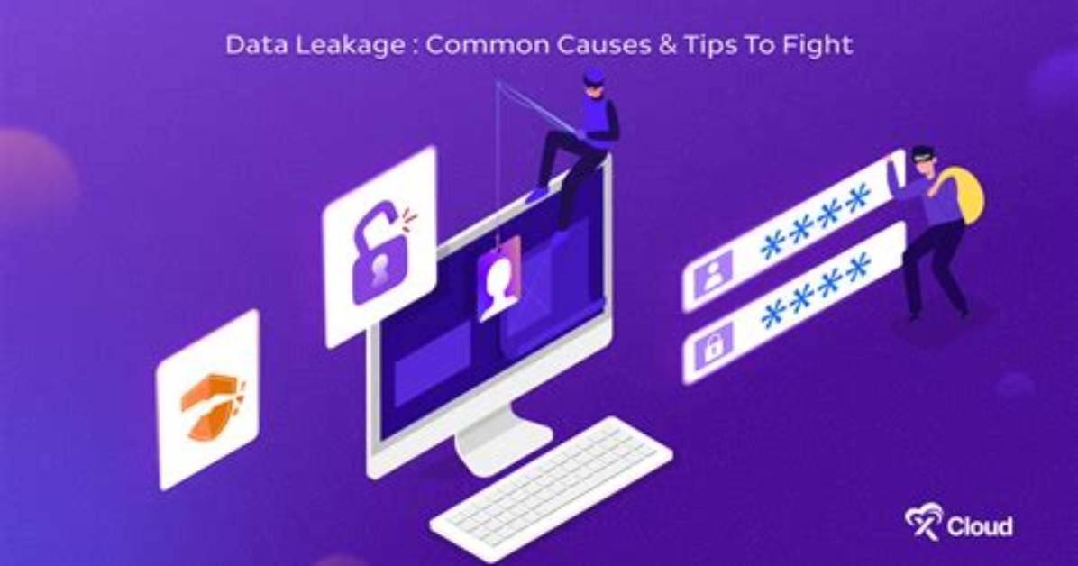 What Is Data Leakage