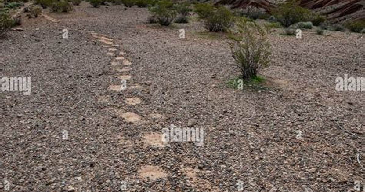 What Is Desert Pavement?