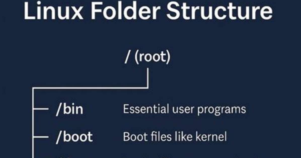 What Is Dev Folder Linux?