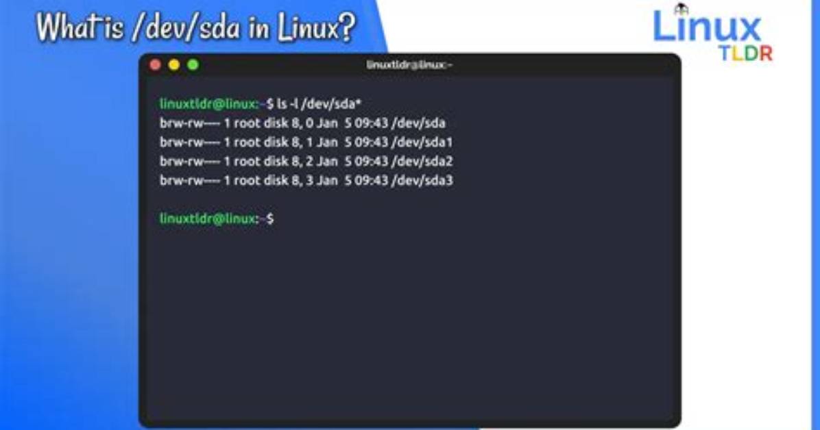 What Is Dev Sda in Linux?