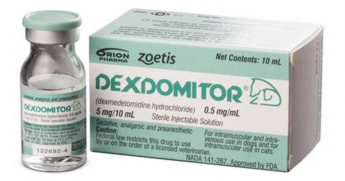 What Is Dexdomitor