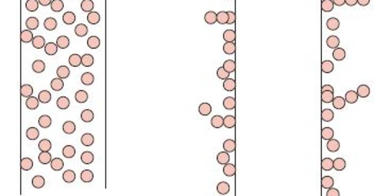 What Is Difference Between Ectothrix and Endothrix?