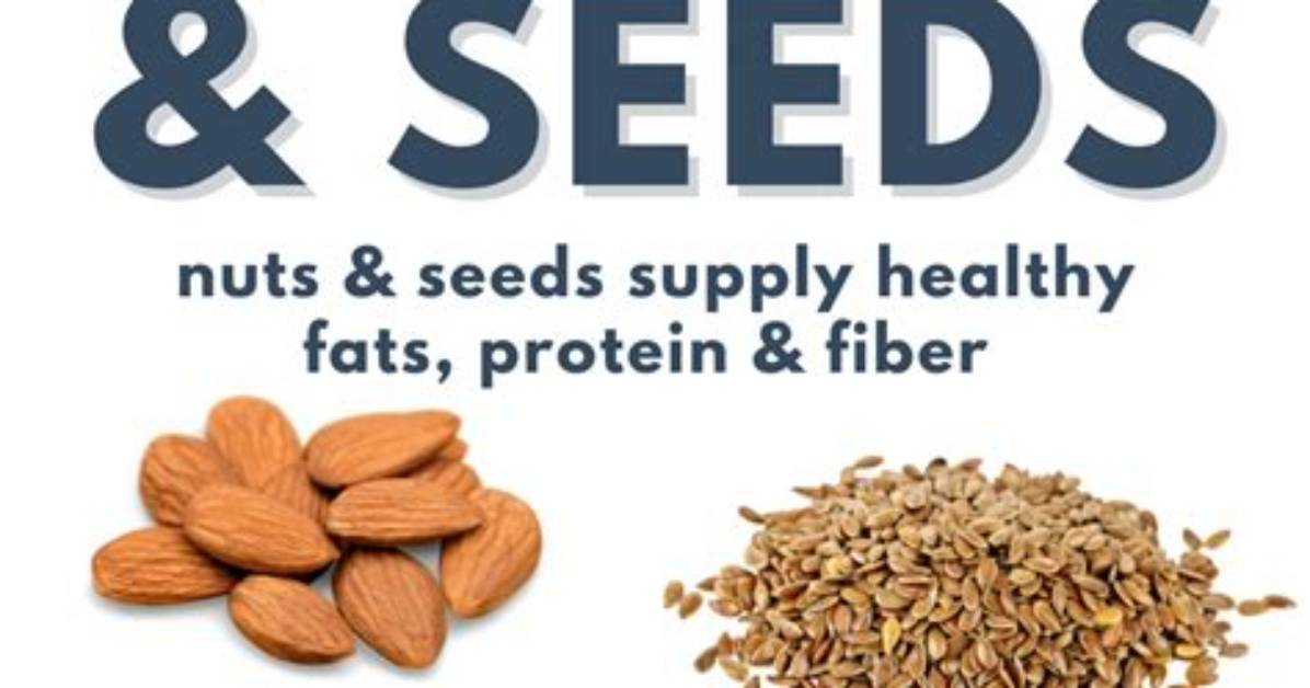 What Is Difference Between Seed and Nut