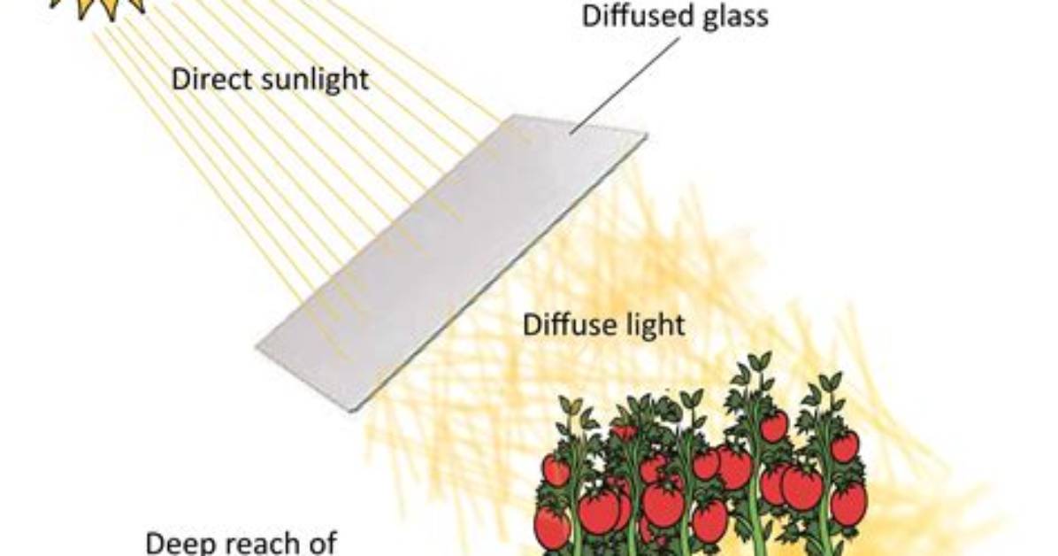 What Is Diffuse Sunlight