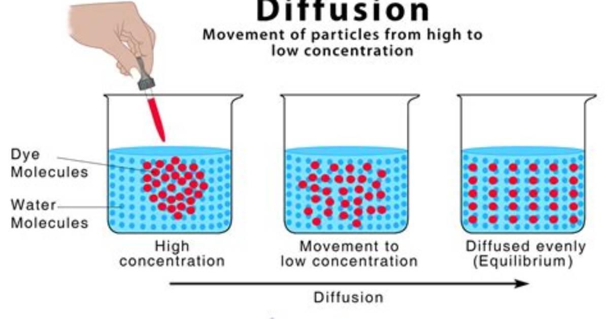 What Is Diffusion Material? | Contextresponse. Com