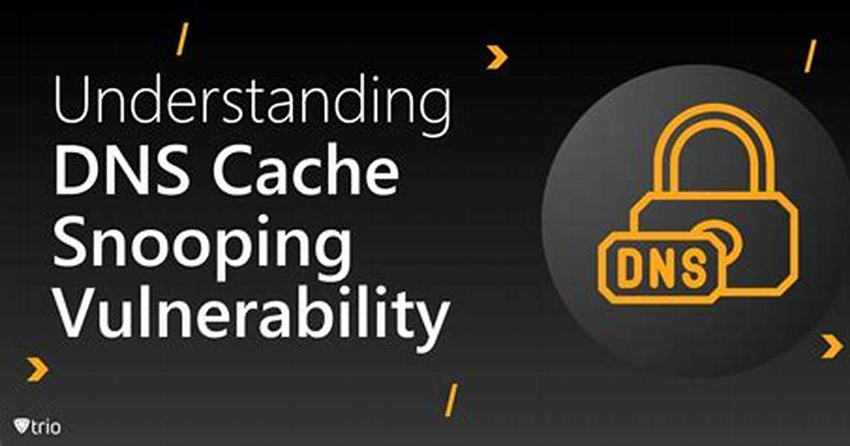 What Is Dns Cache Snooping?