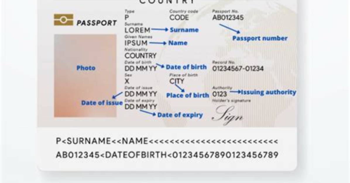 What Is Document Number?
